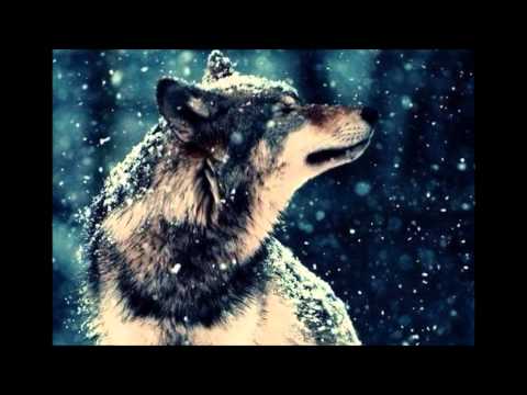 Одинокая сексуальная волчица